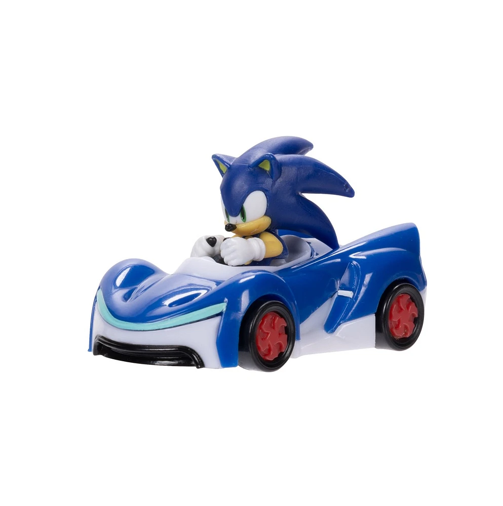 Sonic the Hedgehog 1:64 Die-Cast Vehicle Wave 6 – Une variation choisie au hasard