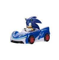 Sonic the Hedgehog 1:64 Die-Cast Vehicle Wave 6 – Une variation choisie au hasard