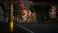 SunnySide