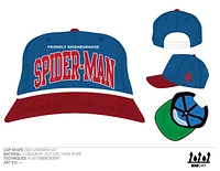 Spider-Man Varsity Hat 