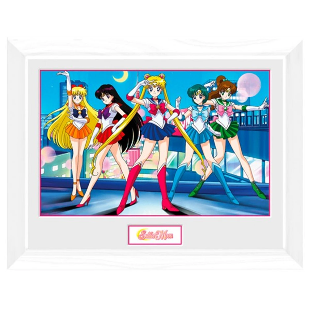 Sailor Moon Group Wall Art 