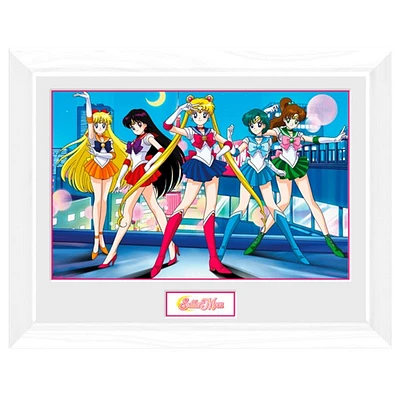 Sailor Moon Group Wall Art 