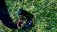 Squirrel With a Gun
