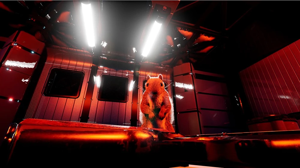 Squirrel With a Gun