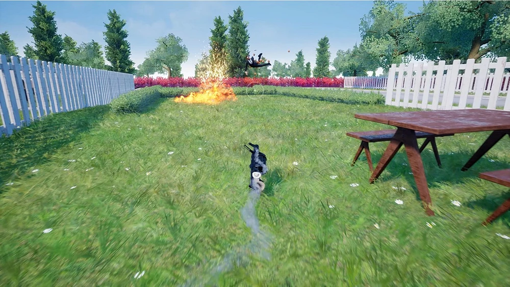 Squirrel With a Gun