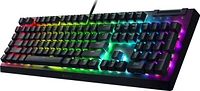 Razer BlackWidow V4 X keyboard 