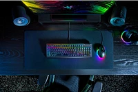 Razer BlackWidow V4 X keyboard 