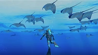 Endless Ocean Luminous  - Digital