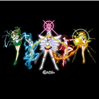 Sailor Moon - Sailor Guardians Tee