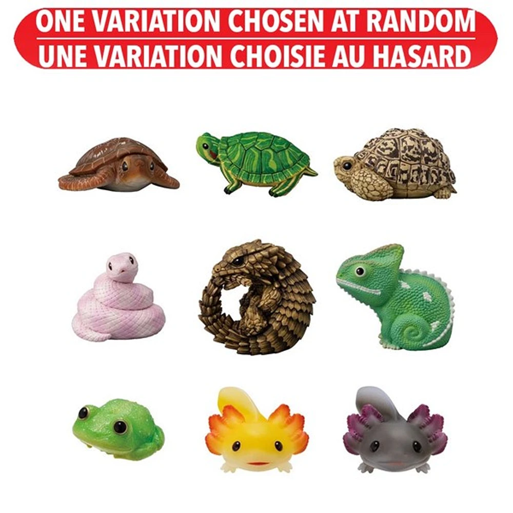 Bandai Tenori Animal Friends Vol11 -Reptiles and Amphibians – Une variation choisie au hasard