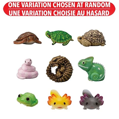 Bandai Tenori Animal Friends Vol11 -Reptiles and Amphibians – Une variation choisie au hasard