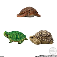 Bandai Tenori Animal Friends Vol11 -Reptiles and Amphibians – Une variation choisie au hasard