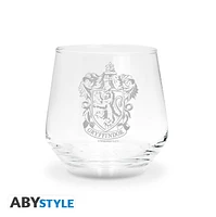 Harry Potter: Gryfindor & Slytherin Glasses, 2 pk 