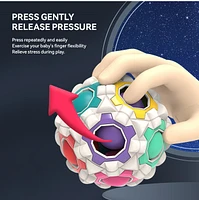 Biogenik Spinning Puzzle Ball – One Variation Chosen at Random