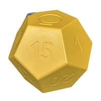 Biogenik Countdown Dodecahedron Timer (D-12) – Une variation choisie au hasard