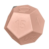 Biogenik Countdown Dodecahedron Timer (D-12) – Une variation choisie au hasard