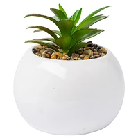 Nightmare before Christmas: Jack Mini Planter 