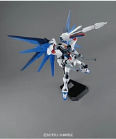 Gundam Seed Freedom ZGMF-X10a Ver 2.0 Mg Model Kit 