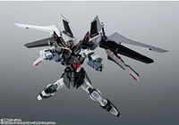The Robot Spirits (SIDE MS) GAT-X105E + AQM/E-X09S Strike Noir Gundam ver. A.N.I.M.E. 