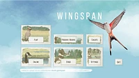 Wingspan Special Edition