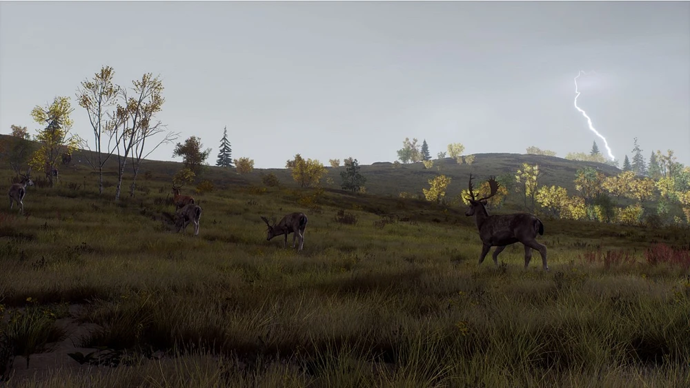Way of the Hunter: Wild Expeditions 