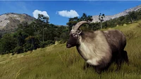 Way of the Hunter: Wild Expeditions 