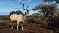 Way of the Hunter: Wild Expeditions 