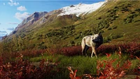 Way of the Hunter: Wild Expeditions 