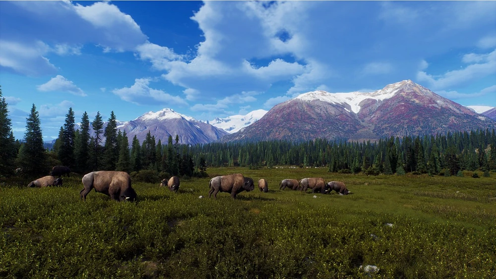 Way of the Hunter: Wild Expeditions 