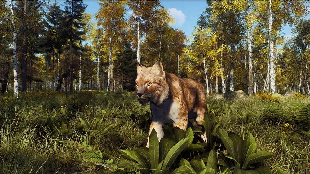 Way of the Hunter: Wild Expeditions 