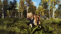Way of the Hunter: Wild Expeditions 
