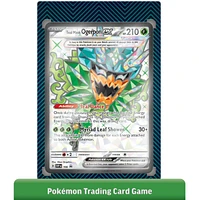 Pokémon Trading Card Game Ogerpon ex Premium Collection (French) 