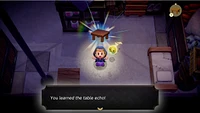 The Legend of Zelda: Echoes Of Wisdom - Numérique