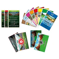Monopoly Pokémon Edition - English only 