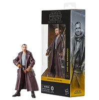 Star Wars: The Black Series - The Skeleton Crew - Jod Na Nawood Action Figure 