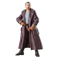 Star Wars: The Black Series - The Skeleton Crew - Jod Na Nawood Action Figure 