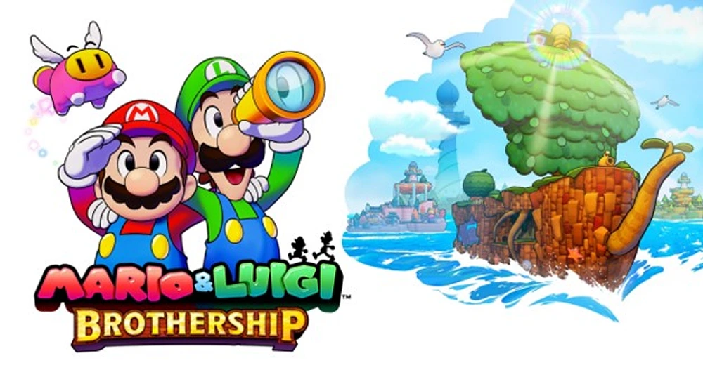 Mario & Luigi Brother - Numérique