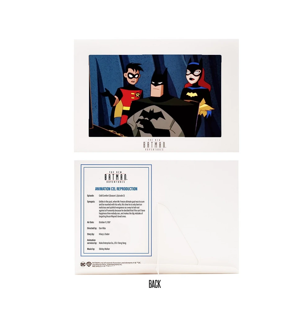 The New Batman Adventures Batman (Silver) 6-Inch Scale Action Figure 