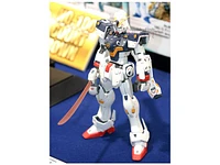 Bandai Gundam 1/100 MG Crossbone X-1 Build Kit 