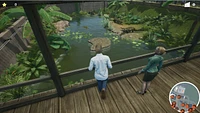 My Vet Practice in the Zoo 