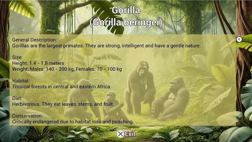 My Vet Practice in the Zoo 
