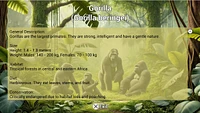 My Vet Practice in the Zoo 