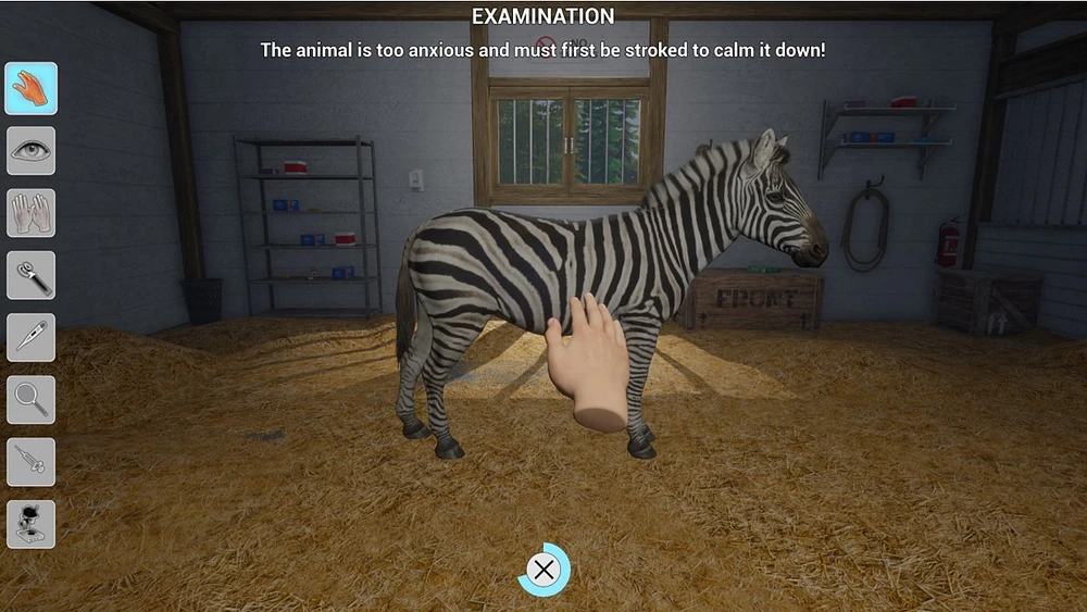 My Vet Practice in the Zoo 