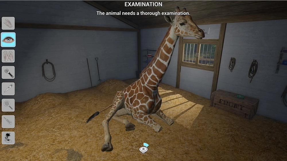 My Vet Practice in the Zoo 