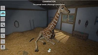 My Vet Practice in the Zoo 