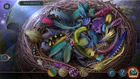Hidden Objects 8 Royal Romance Collectors Edition