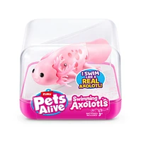 Pets Alive Swimming Axolotl's – One Variation Chosen at Random