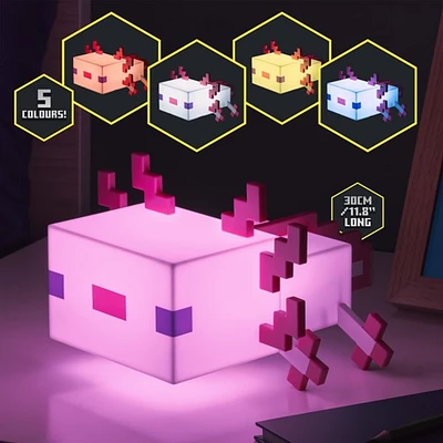 Lumière Axolotl Minecraft 