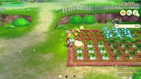 Story Of Seasons Grand Bazaar Premium Edition 