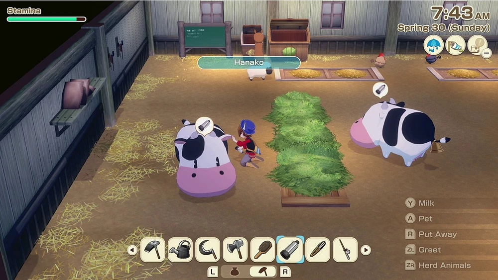 Story Of Seasons Grand Bazaar Premium Edition 